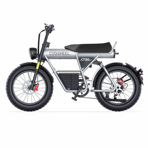 Coswheel CT20S Fat Tire E-Bike