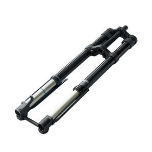 R19 Stoßdämpfer für vorne
