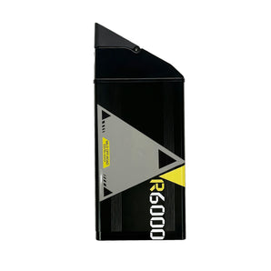 R6000 Batterie