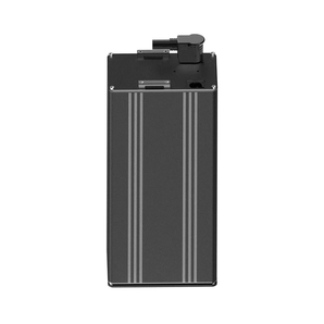 R19 Batterie