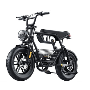 Coswheel Y16 Commuter E-bike